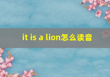 it is a lion怎么读音